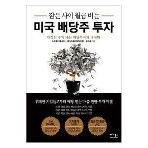 잠든 사이 월급 버는 미국 배당주 투자:안정된 수익 내는 배당투자의 나침반, 베가북스, 윤재홍