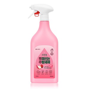 자연퐁 뿌려쓰는 주방세제 용기형 애플향, 750ml, 1개