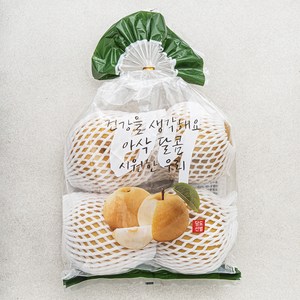 원농산 당도선별 배 3~4입, 1팩, 2kg