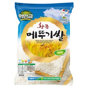 억만금 창녕군 2024년산 햅쌀 황금 메뚜기쌀 백미, 상등급, 5kg, 1개