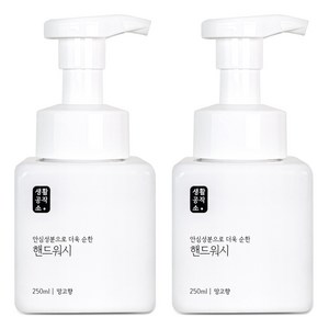 생활공작소 용기 핸드워시 망고향, 2개, 250ml