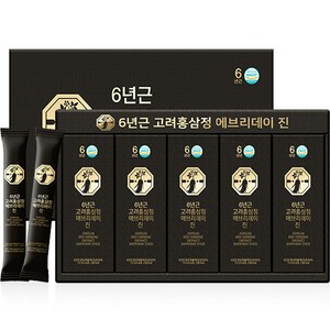 자연허브 6년근 고려홍삼정 에브리데이 진 홍삼스틱 30p + 쇼핑백, 450g, 1세트