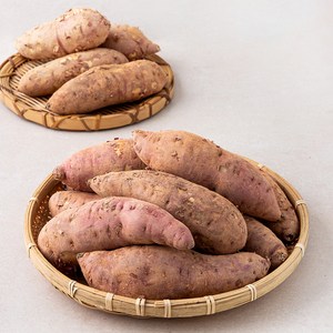 해남 꿀고구마(대), 5kg(대), 1개