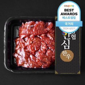 농협안심한우 정육 세절 1등급 국거리용 (냉장), 300g, 1팩