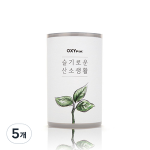 옥시피아 카 고체산소 90g, 5개