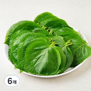 국내산 친환경 깻잎, 150g, 6개