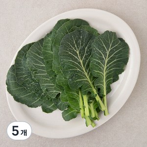 국내산 케일, 300g, 5개