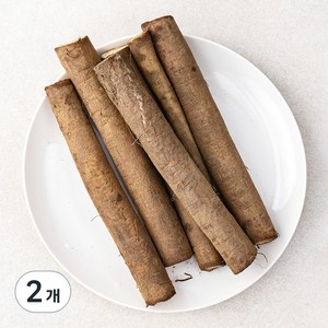 국내산 친환경 우엉, 500g, 2개