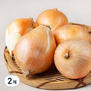 국내산 친환경 양파, 800g, 2개