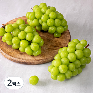 산지직송 아주마 비파괴 당도선별 영동 상주산 샤인머스켓, 2kg, 2박스