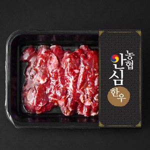 농협안심한우 제비추리 1등급 구이용 (냉장), 200g, 1팩