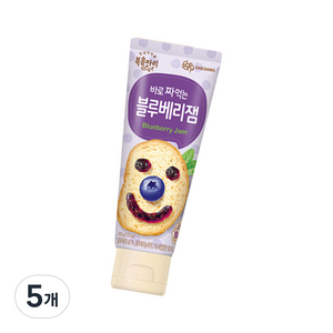 복음자리 바로 짜먹는 블루베리잼, 100g, 5개