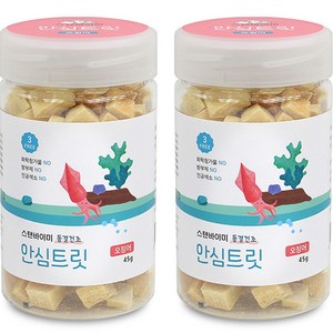 STANDBYME 동결건조 강아지 안심 트릿, 오징어, 45g, 2개