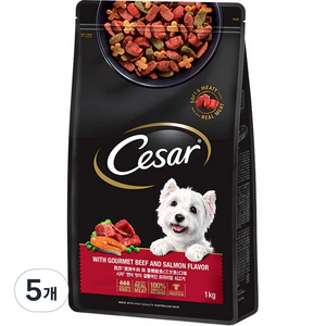시저 어덜트 강아지 건식사료, 소, 1kg, 5개