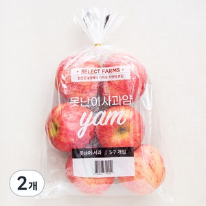 셀렉트팜 못난이 사과 얌, 1.5kg(중과, 5~7입), 2개