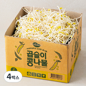 맑은물에 곱슬이 콩나물, 4박스, 2kg