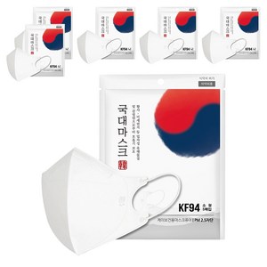 황사 미세먼지 국대마스크 소형 KF94 흰색, 5개입, 6개