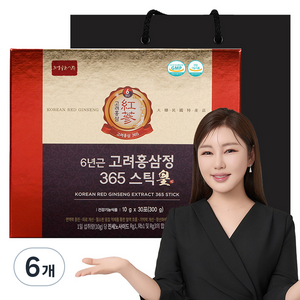 6년근 고려홍삼정 365 스틱 황, 300g, 6개