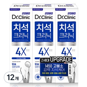 2080 닥터크리닉 치석치약 투, 120g, 12개