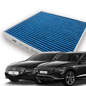 다보니 PM0.3 블루 활성탄 자동차 제네시스 G80 G90 GV70 에어컨필터, 1개, DK153