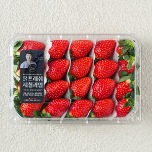 올프레시 GAP 한단 금실 딸기, 500g, 1개