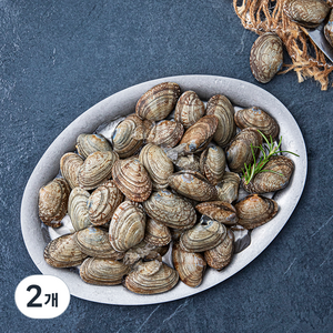 바다자리 생물 물바지락 (냉장), 1kg, 2개