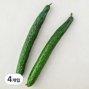 국내산 가시오이, 2개입, 2개