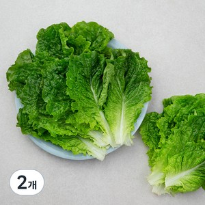 국내산 GAP 청상추, 150g, 2개