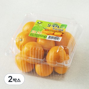 올레길감귤 쪼꼴락 당도선별 한입 감귤, 800g(꼬마과), 2박스