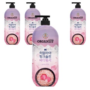 히말라야핑크솔트 풍성한 거품 산뜻한 바디워시 로즈향, 900g, 4개