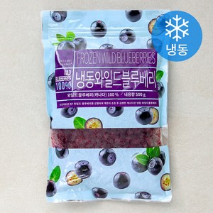 캐나다산 와일드블루베리 (냉동), 500g, 1개