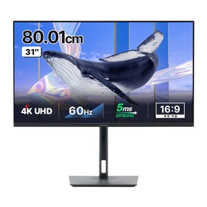 인터픽셀 4K UHD USB C타입 모니터, 80cm, IPU3210(일반)