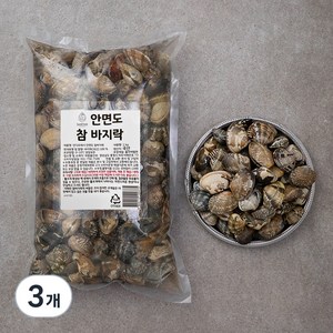 단디프레시 안면도 참바지락, 1kg, 3개