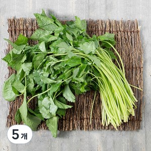 국내산 참나물, 300g, 5개