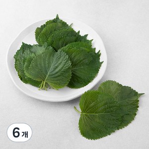 GAP 깻잎, 60g, 6팩