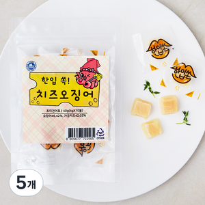 건어물학교 한입 쏙 치즈오징어 10p, 40g, 5개