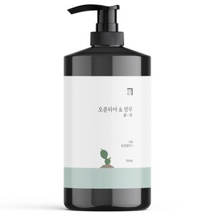 살림백서 오푼티아 앤 밤부 퍼퓸 샴푸 유칼립투스, 500ml, 1개