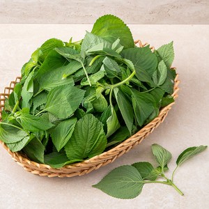 깻순, 1kg, 1개