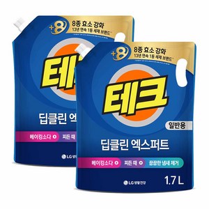 테크 딥클린 실내건조 액체세제 일반 리필, 1.7L, 2개