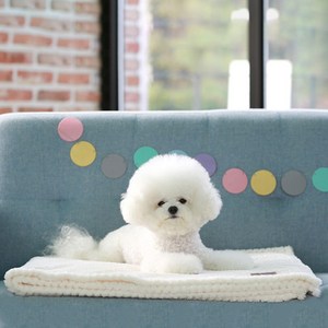 펫츠랜드 포그니 강아지이불, 아이보리, 1개