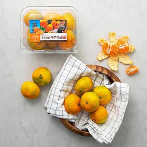 곰곰 GAP 인증 제주 당도선별 하우스감귤, 500g, 1팩