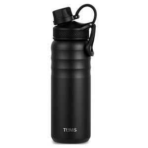 텀스 스포츠 진공 스텐 텀블러, 스톤블랙, 650ml, 1개