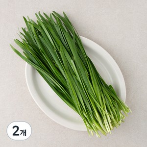 김해 대동 부추, 300g, 2개