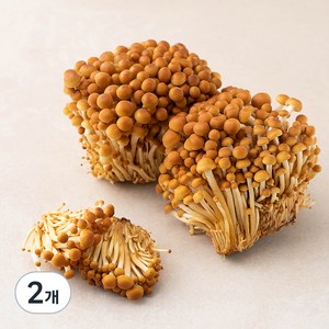 국내산 친환경 갈색 팽이버섯, 400g, 2개