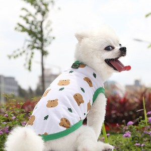 강아지 옷, 녹색