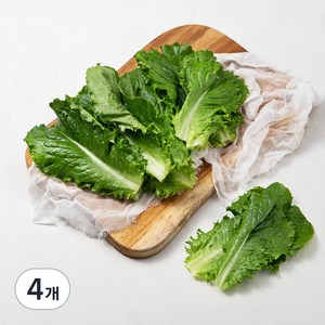 국내산 GAP 아삭한 청상추, 150g, 4개