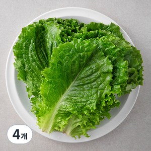 국내산 친환경 청상추, 200g, 4봉