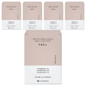 푸름웰니스 푸름효소 미숫가루맛 30p, 90g, 5개