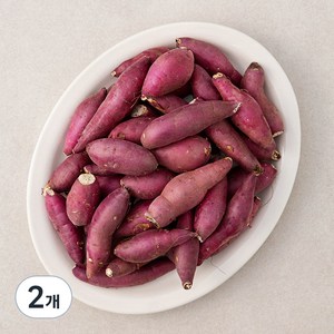 국내산 한입 꿀맛 밤고구마(햇), 1.5kg, 2개