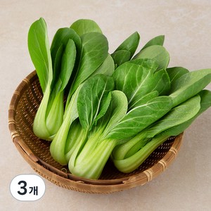 국내산 GAP 청경채, 300g, 3개